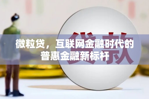 威宁微粒贷，互联网金融时代的普惠金融新标杆
