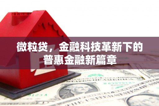 威宁微粒贷，金融科技革新下的普惠金融新篇章