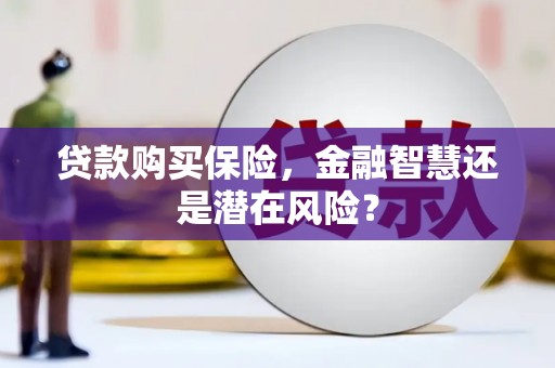 威宁贷款购买保险，金融智慧还是潜在风险？