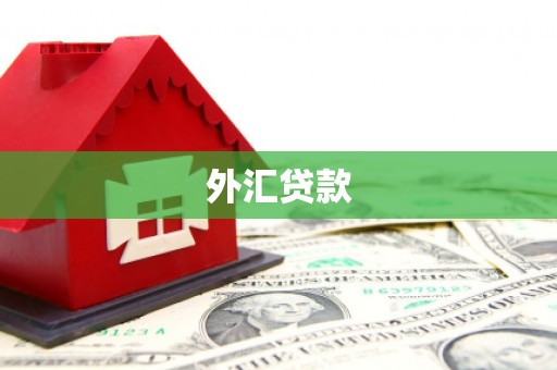 威宁外汇贷款