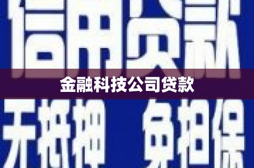 威宁金融科技公司贷款