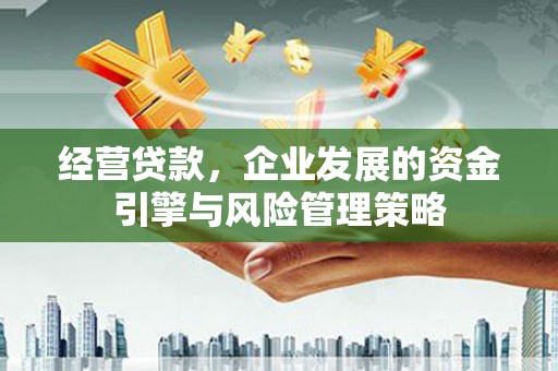 威宁经营贷款，企业发展的资金引擎与风险管理策略