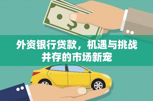 威宁外资银行贷款，机遇与挑战并存的市场新宠