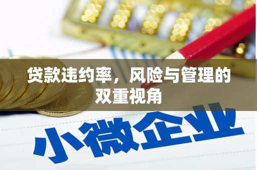威宁贷款违约率，风险与管理的双重视角