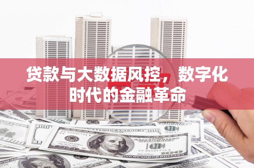 威宁贷款与大数据风控，数字化时代的金融革命
