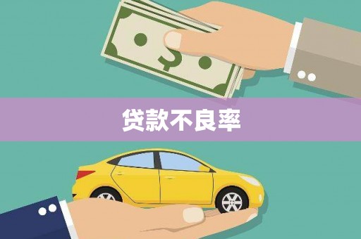 威宁贷款不良率