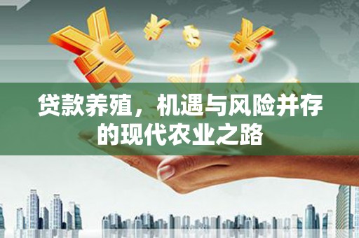 威宁贷款养殖，机遇与风险并存的现代农业之路