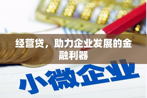 威宁经营贷，助力企业发展的金融利器