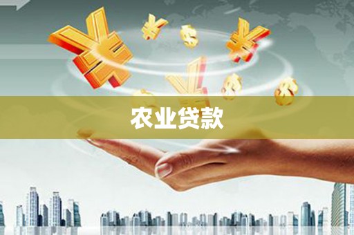 威宁农业贷款