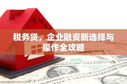 威宁税务贷，企业融资新选择与操作全攻略