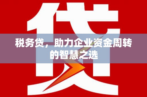 威宁税务贷，助力企业资金周转的智慧之选