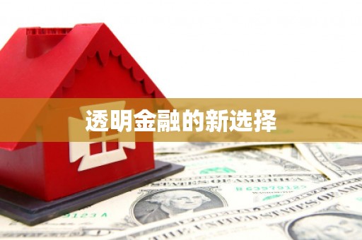 威宁透明金融的新选择