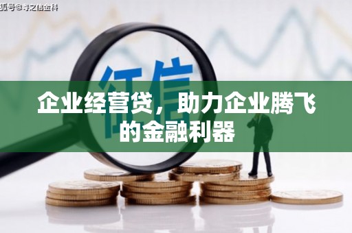 威宁企业经营贷，助力企业腾飞的金融利器