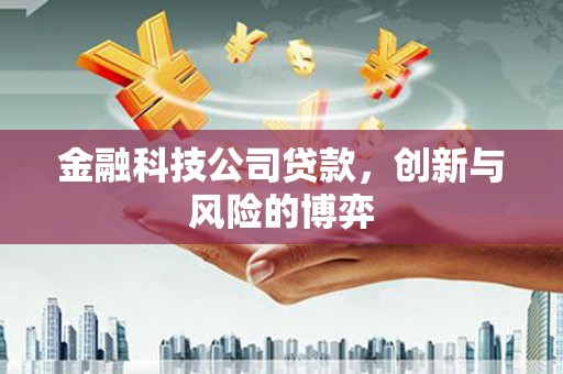 威宁金融科技公司贷款，创新与风险的博弈