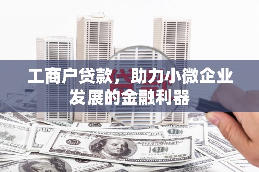 威宁工商户贷款，助力小微企业发展的金融利器