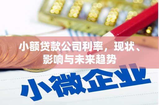 威宁小额贷款公司利率，现状、影响与未来趋势