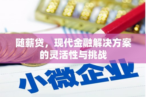 威宁随薪贷，现代金融解决方案的灵活性与挑战