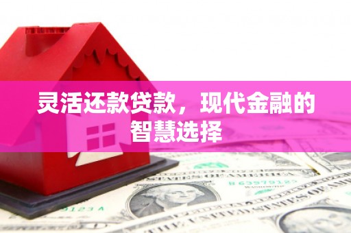 威宁灵活还款贷款，现代金融的智慧选择