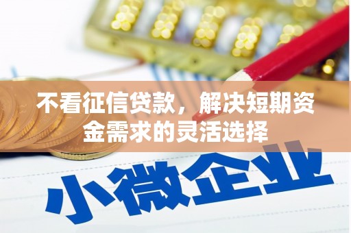 威宁不看征信贷款，解决短期资金需求的灵活选择