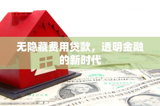 威宁无隐藏费用贷款，透明金融的新时代