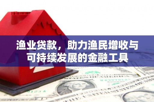 威宁渔业贷款，助力渔民增收与可持续发展的金融工具