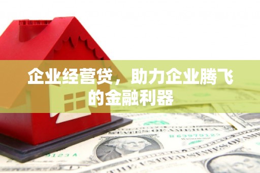 威宁企业经营贷，助力企业腾飞的金融利器