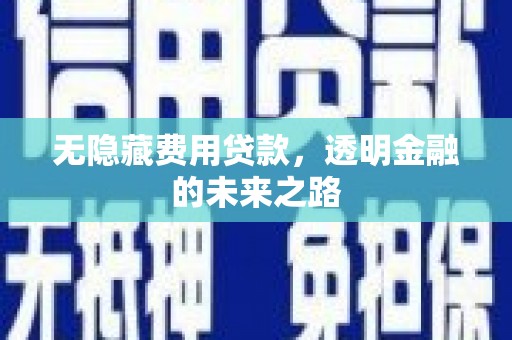 威宁无隐藏费用贷款，透明金融的未来之路