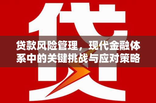 威宁贷款风险管理，现代金融体系中的关键挑战与应对策略