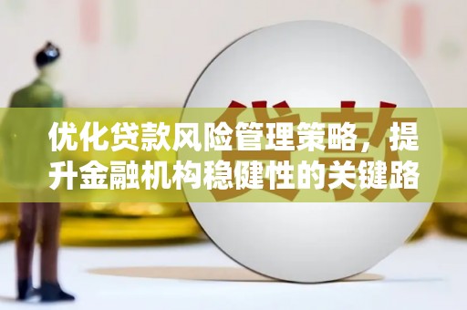 威宁优化贷款风险管理策略，提升金融机构稳健性的关键路径