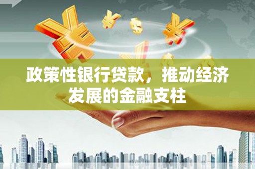 威宁政策性银行贷款，推动经济发展的金融支柱