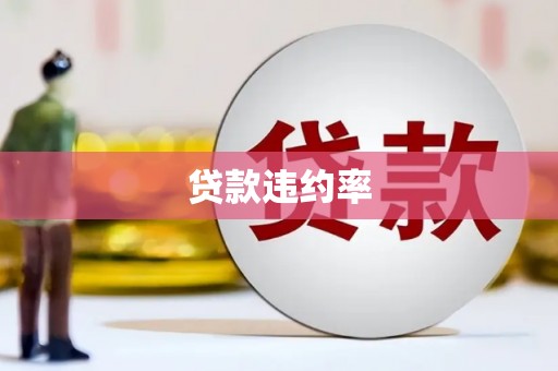 威宁贷款违约率