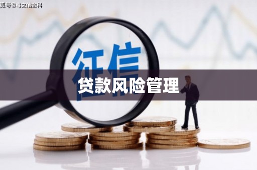威宁贷款风险管理