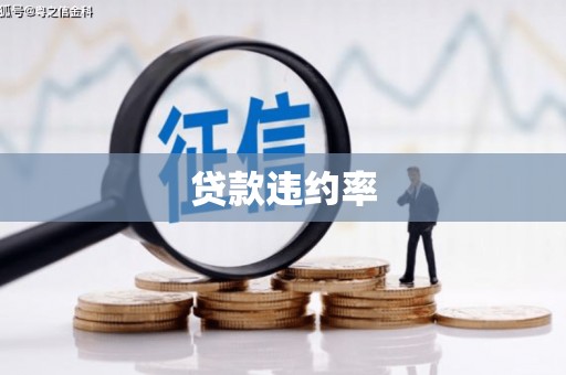 威宁贷款违约率