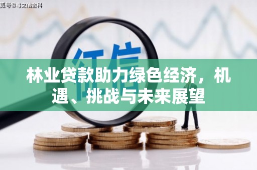 威宁林业贷款助力绿色经济，机遇、挑战与未来展望