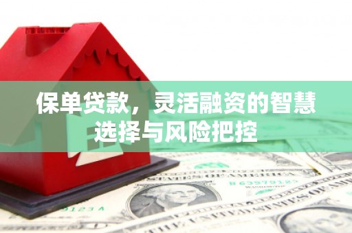 威宁保单贷款，灵活融资的智慧选择与风险把控