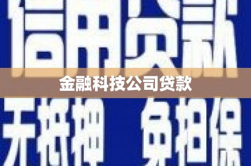 威宁金融科技公司贷款