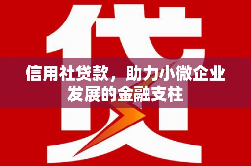 威宁信用社贷款，助力小微企业发展的金融支柱