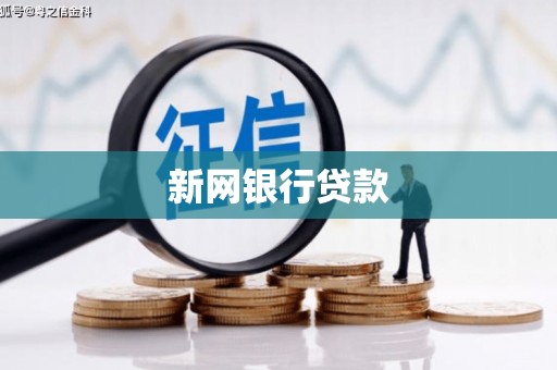 威宁新网银行贷款