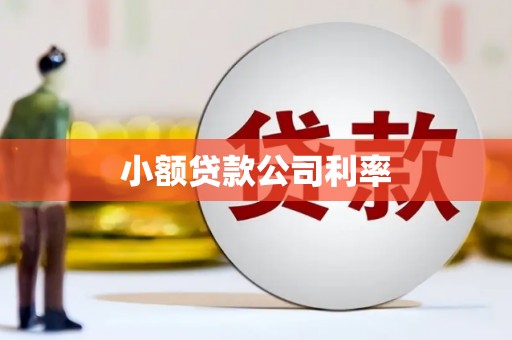 威宁小额贷款公司利率