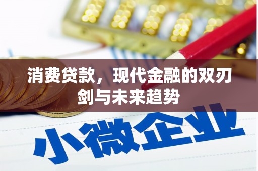 威宁消费贷款，现代金融的双刃剑与未来趋势