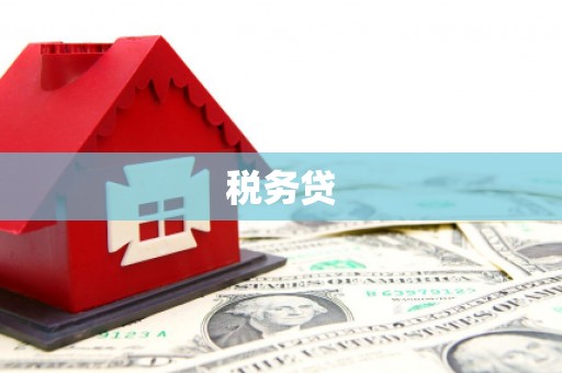 威宁税务贷