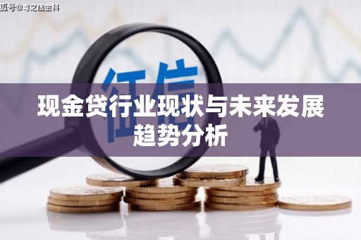 威宁现金贷行业现状与未来发展趋势分析