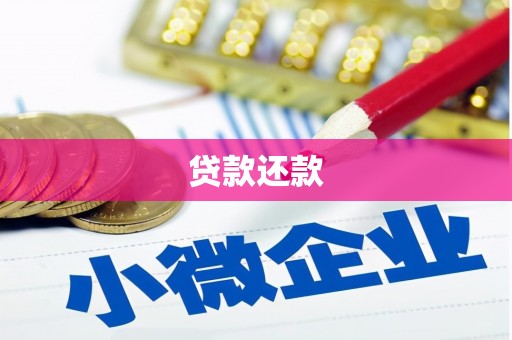 威宁贷款还款
