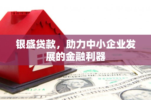 威宁银盛贷款，助力中小企业发展的金融利器
