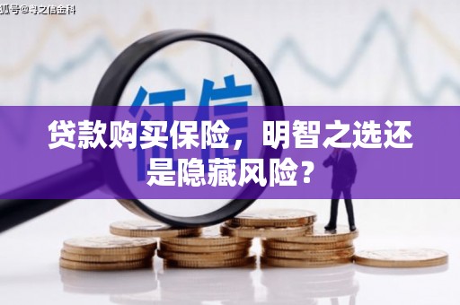 威宁贷款购买保险，明智之选还是隐藏风险？