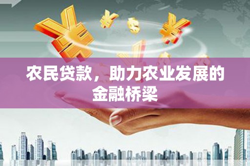 威宁农民贷款，助力农业发展的金融桥梁