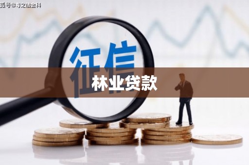 威宁林业贷款