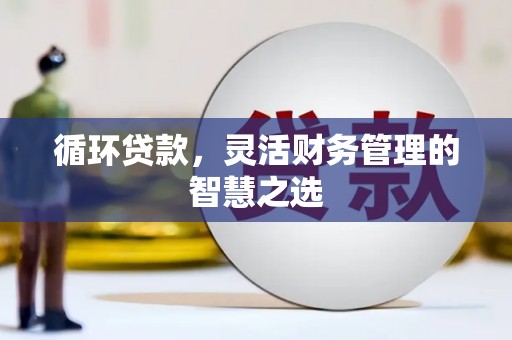 威宁循环贷款，灵活财务管理的智慧之选