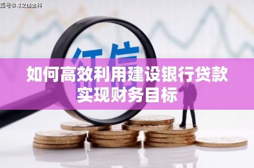 威宁如何高效利用建设银行贷款实现财务目标