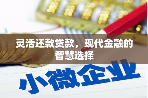 威宁灵活还款贷款，现代金融的智慧选择